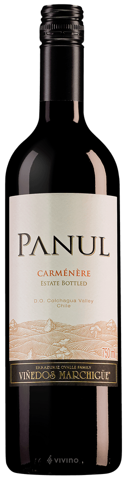 Panul Carmenere (12x750ml)